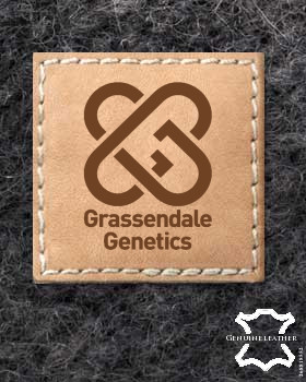 24 Etiquetas de cuero | Etiquetas de cuero personalizadas | Etiquetas de cuero con logo